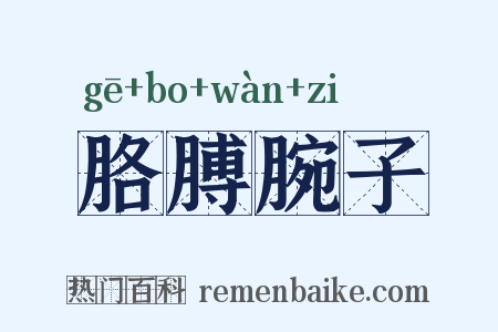 胳膊腕子是什么意思的图片
